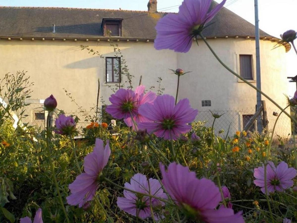 Manoir De La Guignardiere : The Ou Cafe ? Chavagne Eksteriør billede